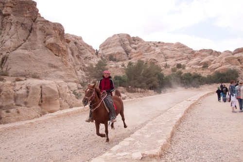Beduin till häst i Petra