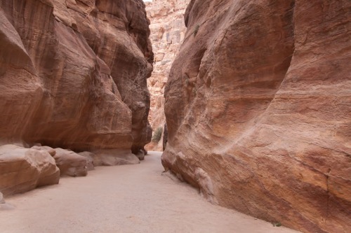 The Siq, den höga klippan i Petra
